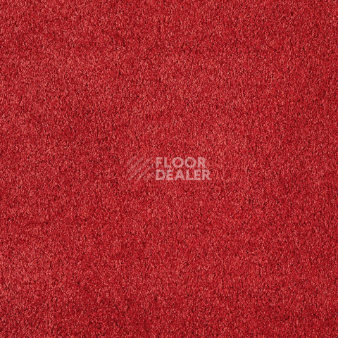 Ковролин AW Scent 11 фото 1 | FLOORDEALER